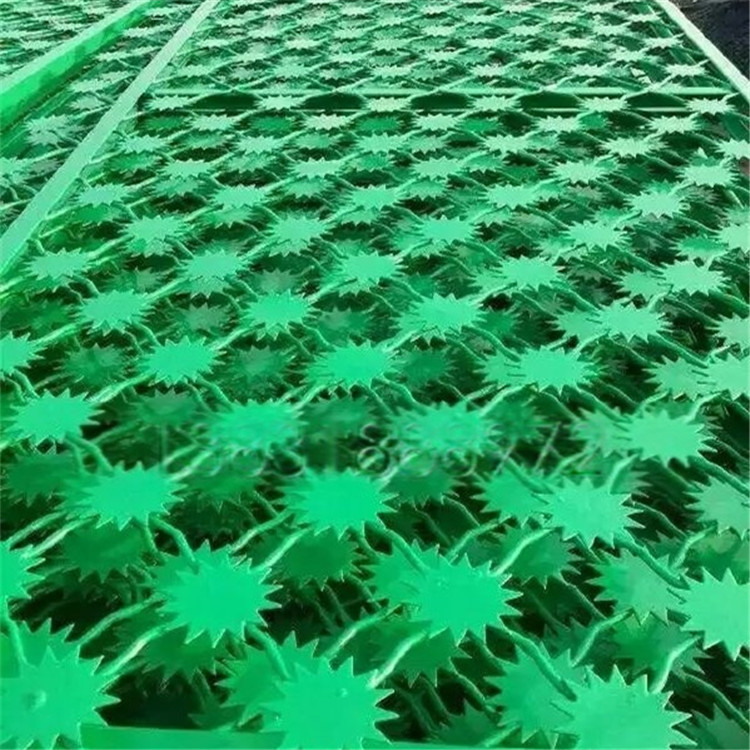 梅花刺隔離網安裝案例展示